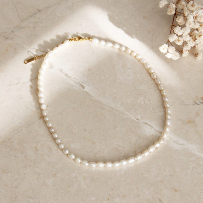 Freshwater Pearl Necklace